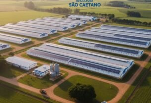 Avicultura: O Que É e Como Funciona na Prática.