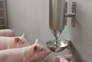 Bebedouro Automático Tipo Nipple para Suínos.