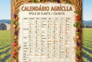 Calendário Agrícola