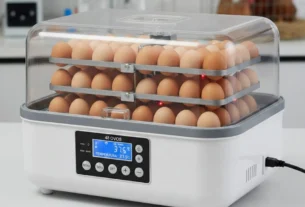 Chocadeira Automática Digital 48 Ovos com Viragem Automática