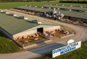 Suinocultura: O Que É e Como Funciona na Prática.
