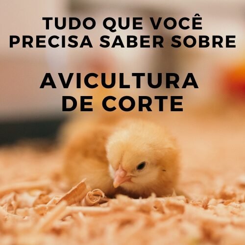 Avicultura de Corte: Guia Completo para Iniciantes no Brasil (Passo a Passo Lucrativo). 2 https://go.hotmart.com/L104759026C